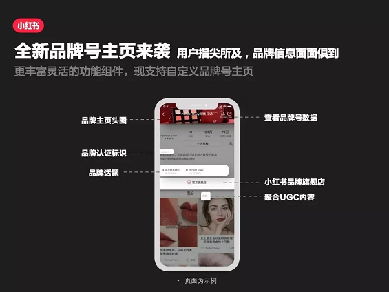 玩转小红书品牌号,看这一篇就够了! 玩转小红书品牌号,看这一篇就够了!