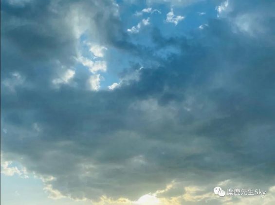 小红书平台新趋势|最全视频笔记解析指南