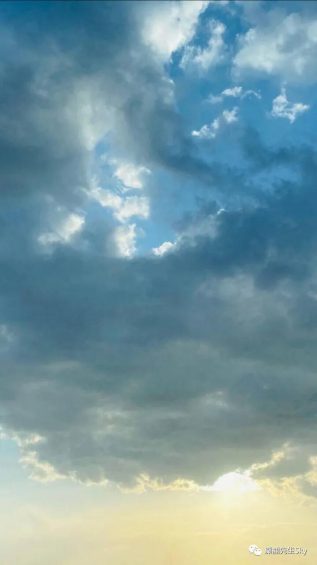 小红书平台新趋势|最全视频笔记解析指南