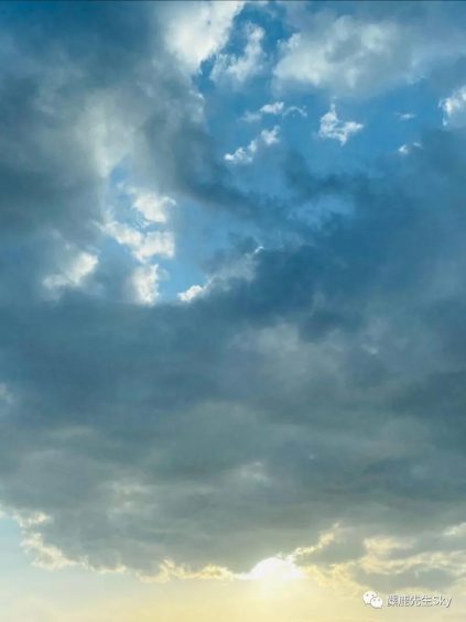 小红书平台新趋势|最全视频笔记解析指南