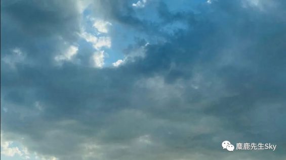 小红书入场视频号！所有令你感到好奇的新玩法都可以在这里找到。