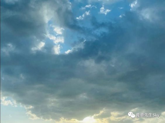 小红书入场视频号！所有令你感到好奇的新玩法都可以在这里找到。