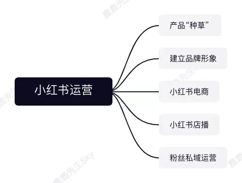 小红书运营团队组织架构设计方案