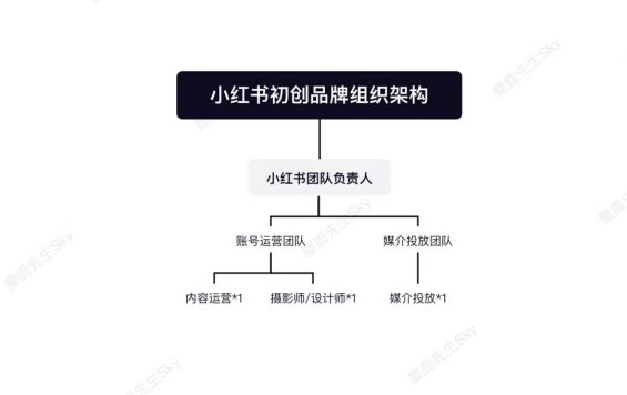 小红书运营团队组织架构设计方案