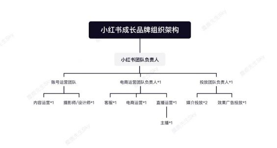 小红书运营团队组织架构设计方案