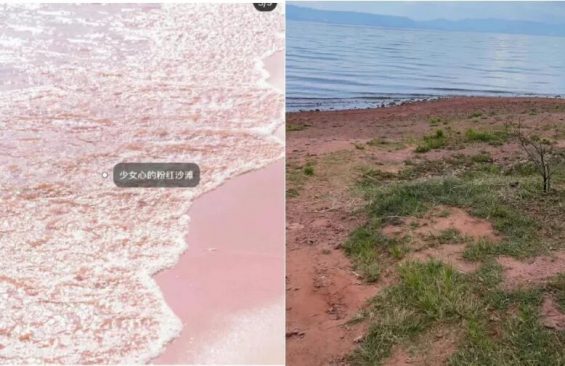 揭秘小红书的爆款文案套路! 揭秘小红书的爆款文案套路!