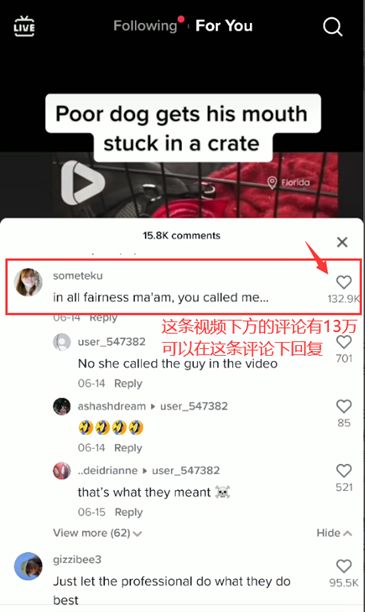 海外Tiktok赚钱的都在玩私域