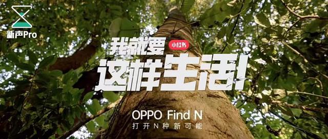 内容社区如何做营销IP:小红书的一种尝试 内容社区如何做营销IP:小红书的一种尝试