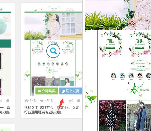 淘宝店铺装修模板怎么选择?