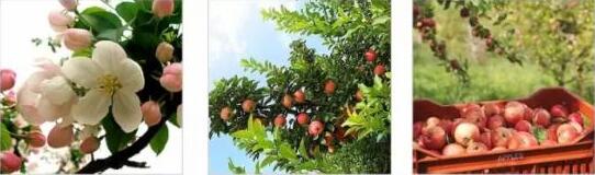 淘宝宝贝详情页怎么做才能打动人心?