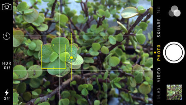 手机自拍服装技巧图片介绍