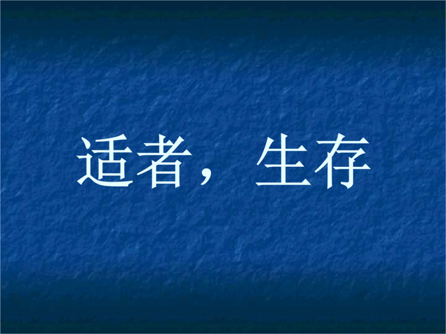 10天违规4次后,我总结了3条视频号运营经验,避免踩坑 10天违规4次后,我总结了3条视频号运营经验,避免踩坑