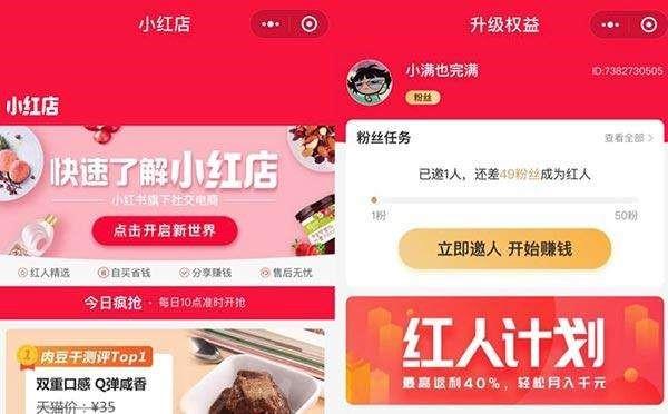 不知不觉被“种了草”？——从小红书视角揭秘“种草经济”