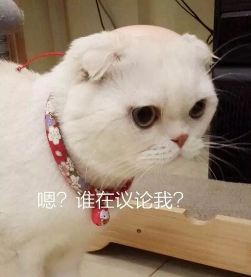 抖音网红、10万+大号都在用的沙雕段子，原来是这样来的！