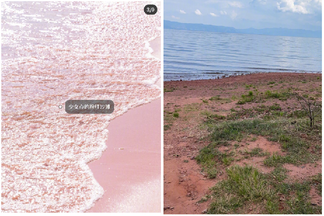 不断“种草”的小红书，正在让互联网杂草丛生