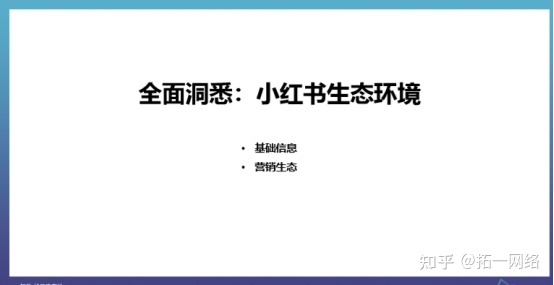 小红书内容营销数据洞察