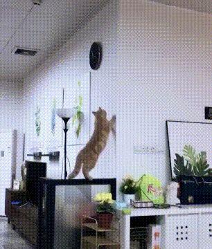 搞笑内涵段子！笑一笑，十年少