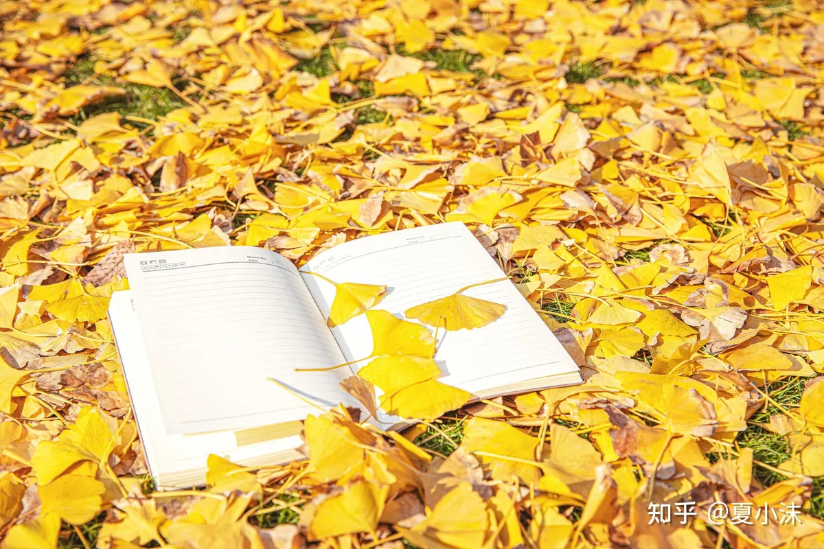 0基础运营小红书4个月粉丝破万,我的5点感悟 0基础运营小红书4个月粉丝破万,我的5点感悟