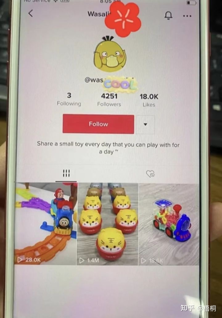 小白都能做的赚钱副业分享！在TikTok发布一条30秒的视频 …