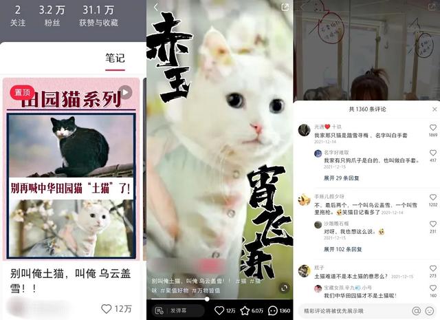 小红书运营：1年拆解5000篇爆文，换来一套流量密码（1月版）