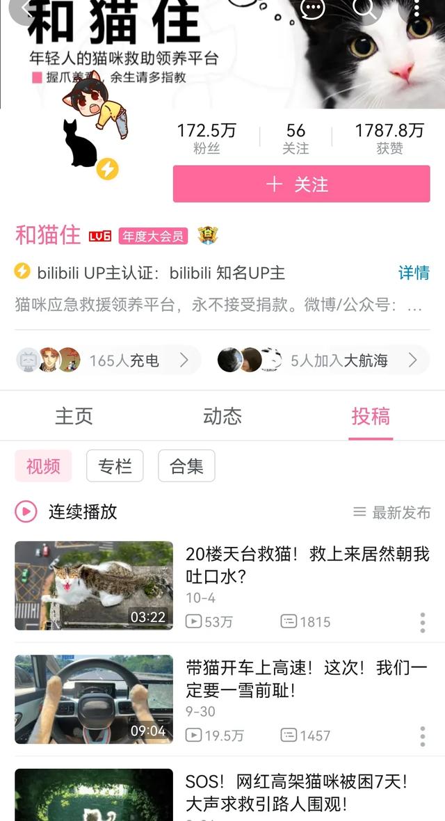 B站萌宠UP主盘点:花花与三猫继续领跑,新增三位百万级UP主 B站萌宠UP主盘点:花花与三猫继续领跑,新增三位百万级UP主