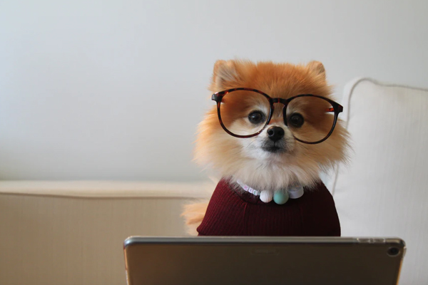 淘宝付款方式怎么设置？如何更改？