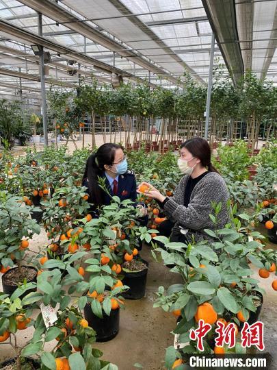 江苏常州“减税餐”“上菜”百姓“生活圈”逐渐回暖 江苏常州“减税餐”“上菜”百姓“生活圈”逐渐回暖