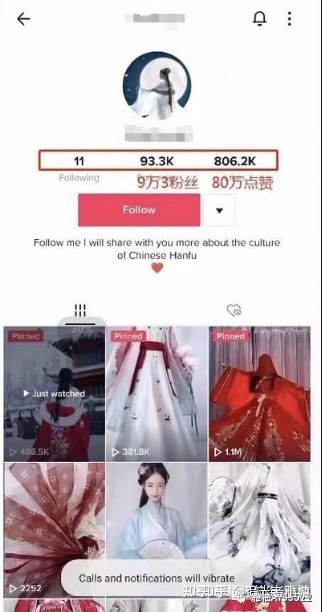 TikTok追光者：TikTok短视频变现及养号