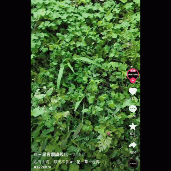 写给抖音内容团队：请停止在错误的方向上狂奔！