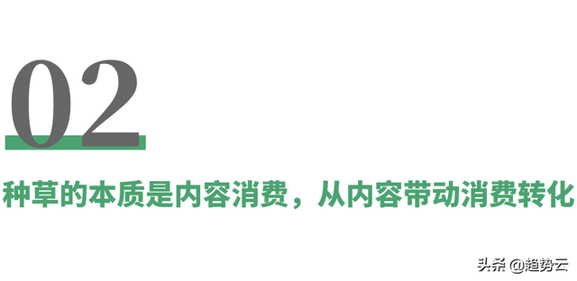在小红书种草，在抖音、淘宝赚钱