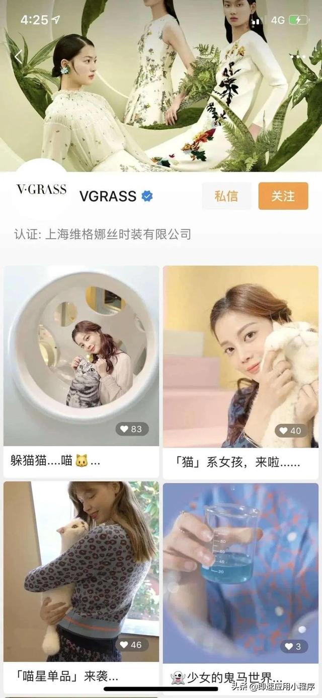 微信红包“破圈”营销，视频号带货还在等什么？