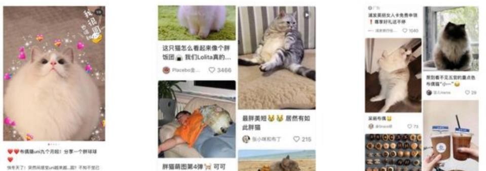 小红书运营干货之7大模块深度分析小红书运营推广！