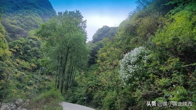 “五一”假期去哪？西安这条峪能开车进山，25公里山水画廊美极了