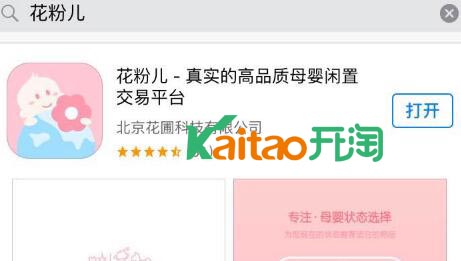 孙俪网络商店叫什么名字?