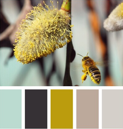 淘宝无线端详情页装修技巧分享