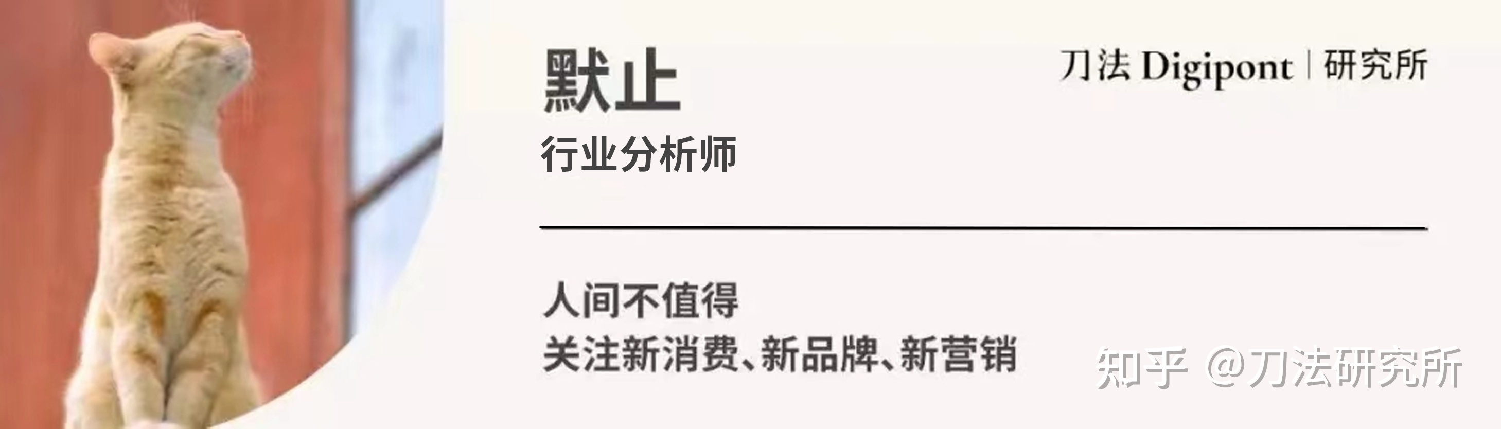 同等预算、50倍流量，视频号为什么更适合情绪营销？| 营销观察 …