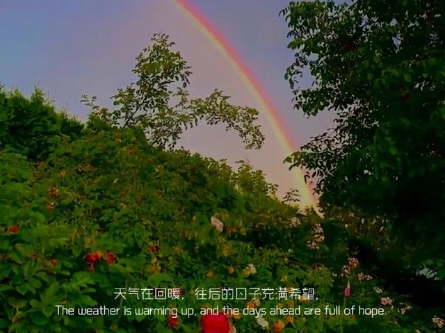 我的小红书粉丝终于四万啦！附小红书运营干货25条