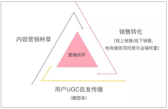 7分种草+3分营销，揭秘集运企业小红书营销玩法