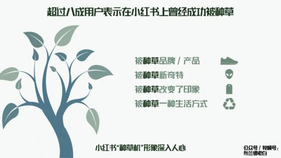 全域增长 | 万字梳理品牌小红书种草割草指南