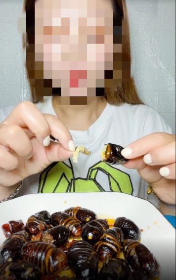 小红书薯条审核规则指南