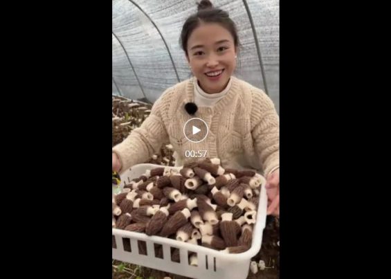 7000字长文拆解，千川素材的创作指南