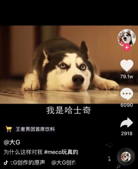 抖音吸粉大号养成记：快速吸粉——他们是这么做的