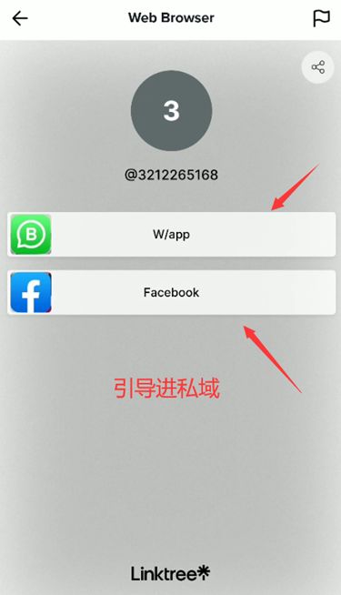 海外Tiktok赚钱的都在玩私域