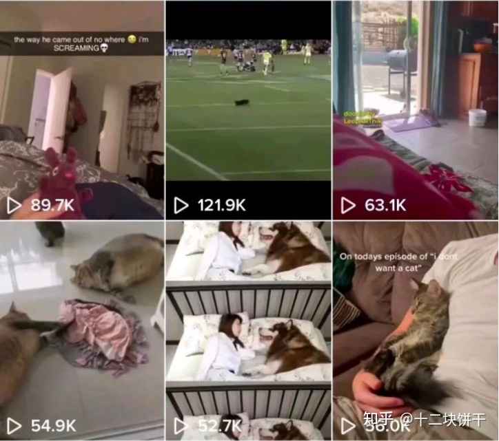 最近风很大的tiktok短视频靠谱么？要怎么做才能月入3w+？