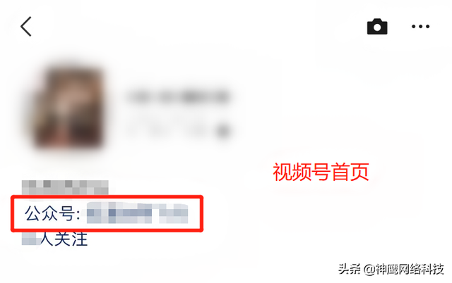 爆款视频号都是这样打造的!如何引流+提高播放量? 爆款视频号都是这样打造的!如何引流+提高播放量?
