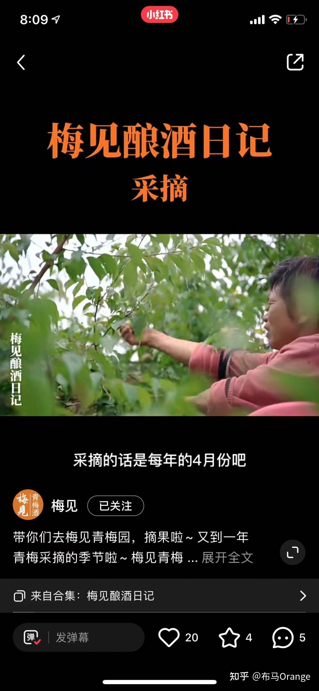 深度 | 怎么在小红书运营好一个酒类品牌？