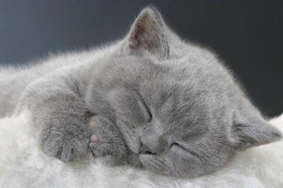 淘宝装修首页添加自定义怎么操作？