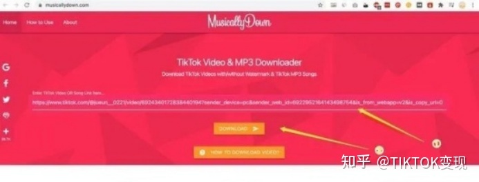 在国内怎么下载tiktok，有没有大神可以教一下？