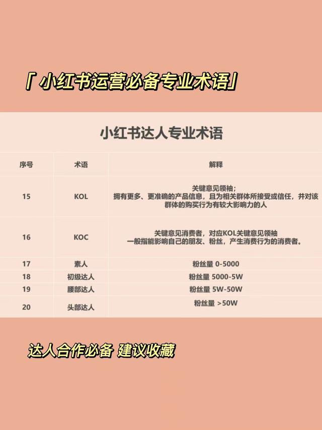 小红书运营必备：20个种草专业术语(一)