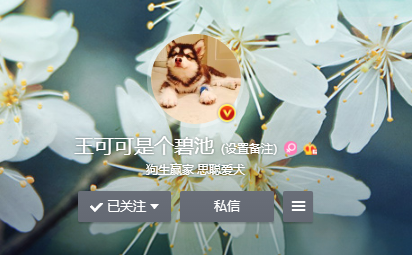 王可可淘宝店是真的吗?王可可淘宝店是谁开的? 王可可淘宝店是真的吗?王可可淘宝店是谁开的?